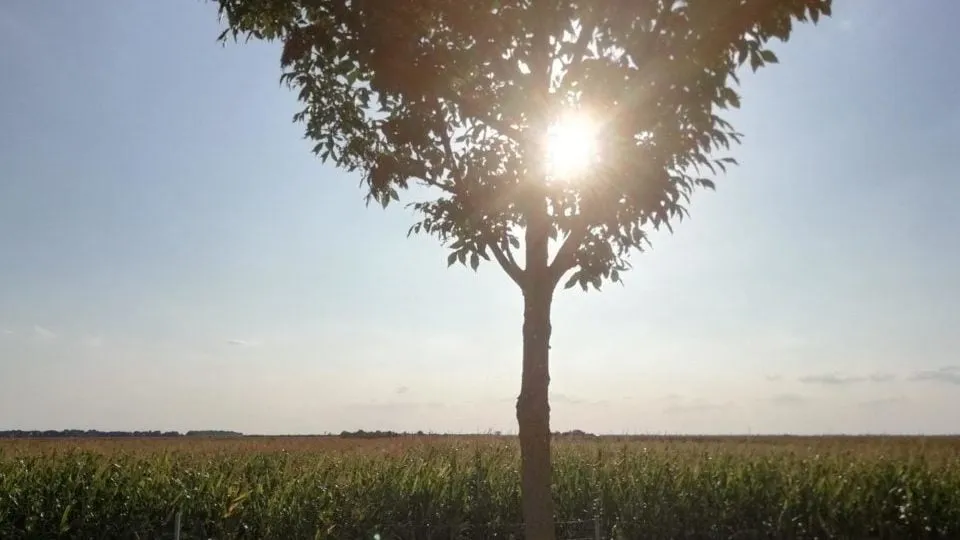 Meer website bezoekers – Hoe ik van 0 naar 50.000 bezoekers per maand ging