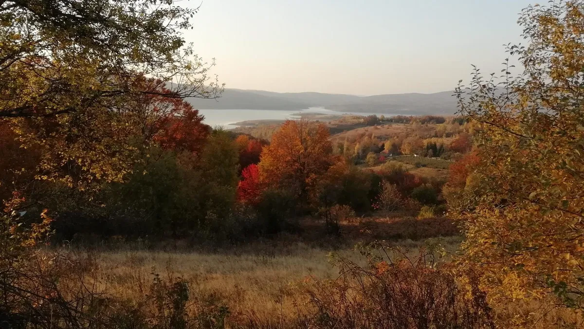 Experientalisme onder digital nomads, is dat een probleem?