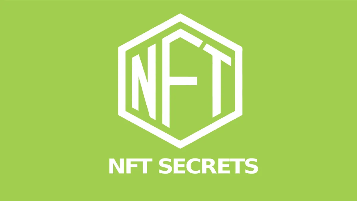 NFT Secrets programma [2023 Review] – Mitchel van Duuren