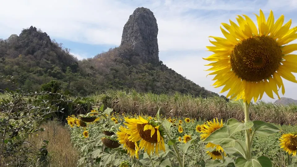 Tien dingen die je als digital nomad moet weten