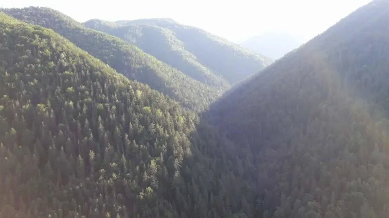 Thuis komen na lange reisperiode; je niet meer kunnen inleven