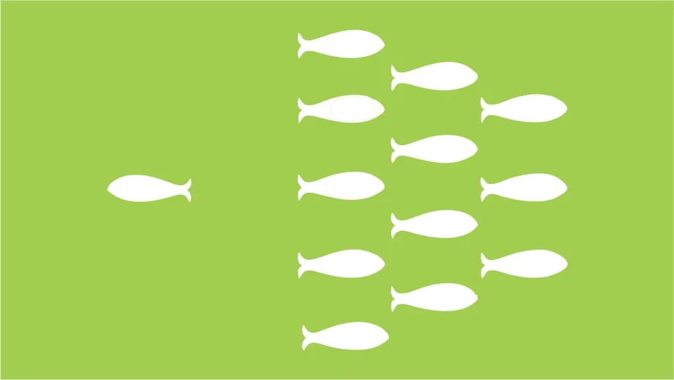 USP voorbeelden – 15 Unique Selling Points ter inspiratie