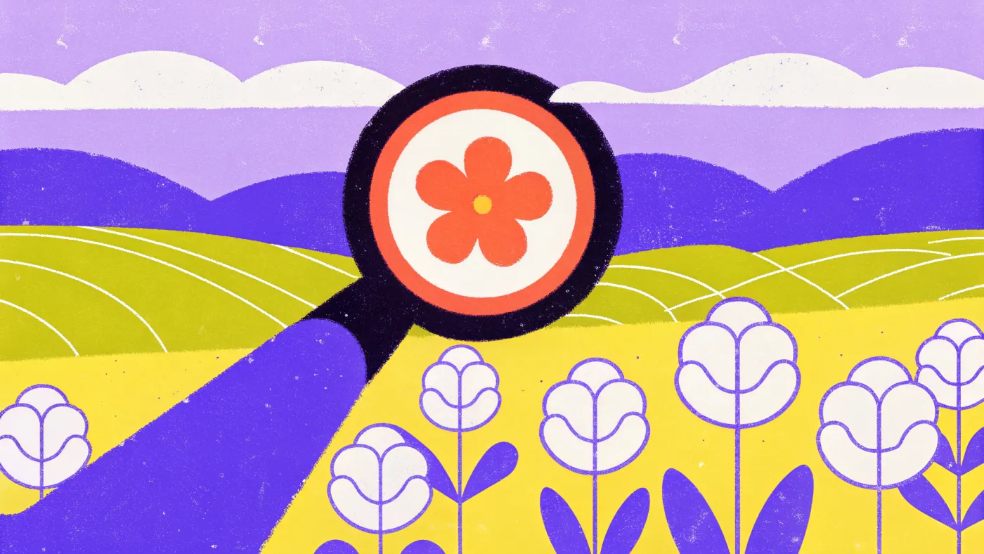 Een niche: niet 'reizen', maar 'met de fiets door Europa' Een cameralens die scherpstelt op één rode bloem in een veld van grijze bloemen