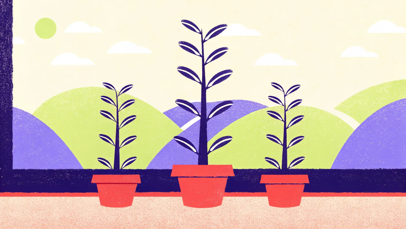 Eén niche die je water geeft, groeit; tien niches tegelijk verdorren Een rij bloempotten op een vensterbank, waarvan er één uitgroeit tot een grote plant